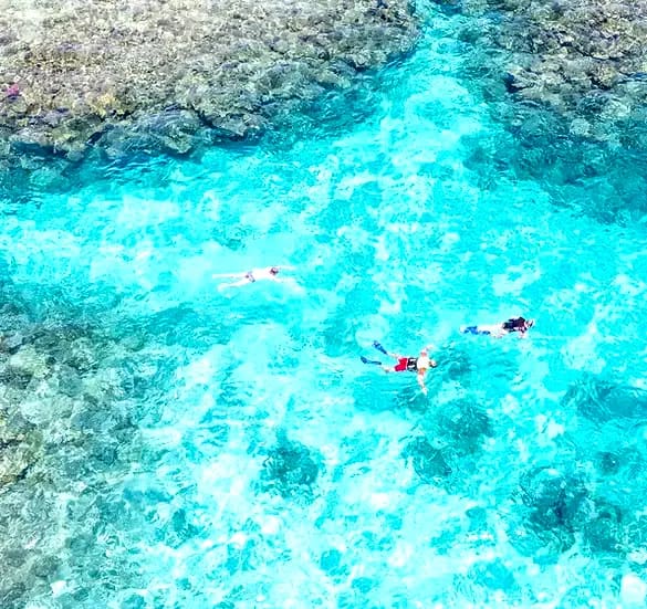 Snorkeling dans l'aquarium naturel de Rivière Banane, poissons du lagon de Rodrigues